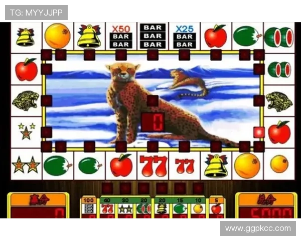 水果老虎机旗舰厅登录线路全天候客服支持，解决玩家各种疑问与问题